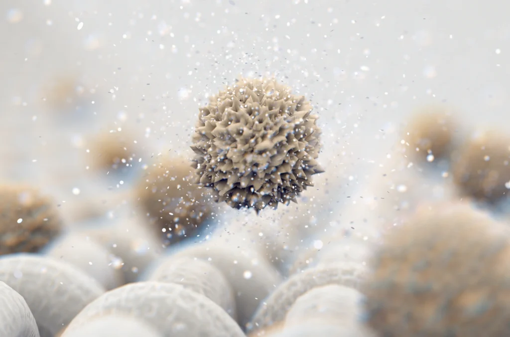 Emids Named by Everest Group as a Major Contender in Life Sciences Digital Services 
