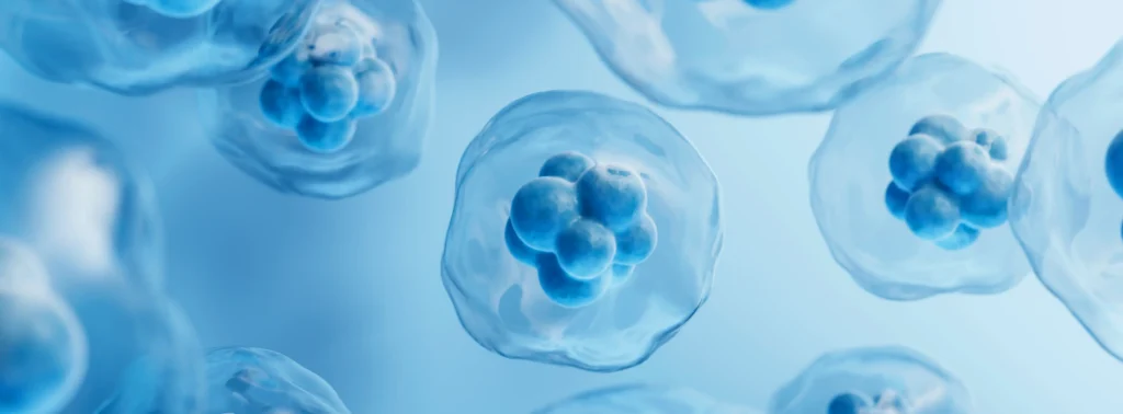 Emids Recognized as a Major Contender in Everest Group’s Life Sciences Digital Services PEAK Matrix® Assessment 2025